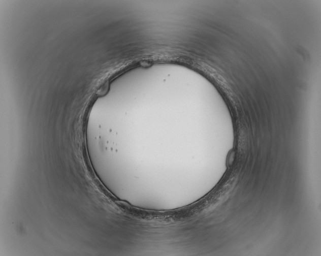 X0000112180673200908281402