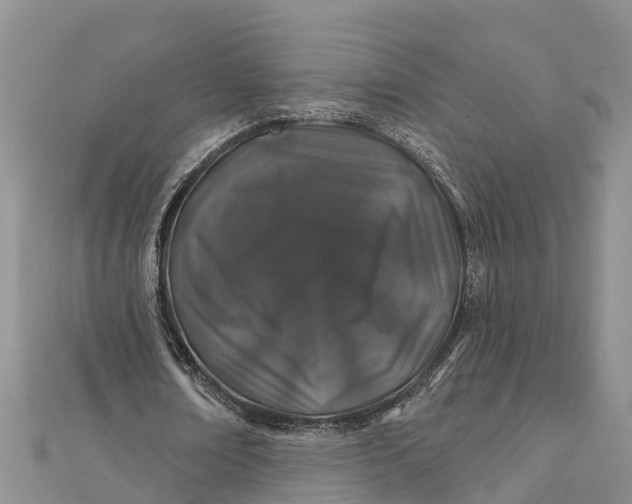 X0000112180674200908281402