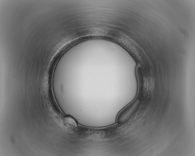 X0000112180676200908281402