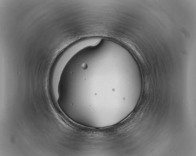 X0000112180677200908281402