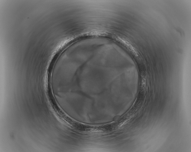 X0000112180678200908281402