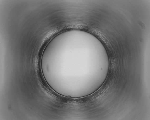 X0000112180679200908281402