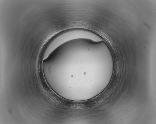 X0000112180680200908281402