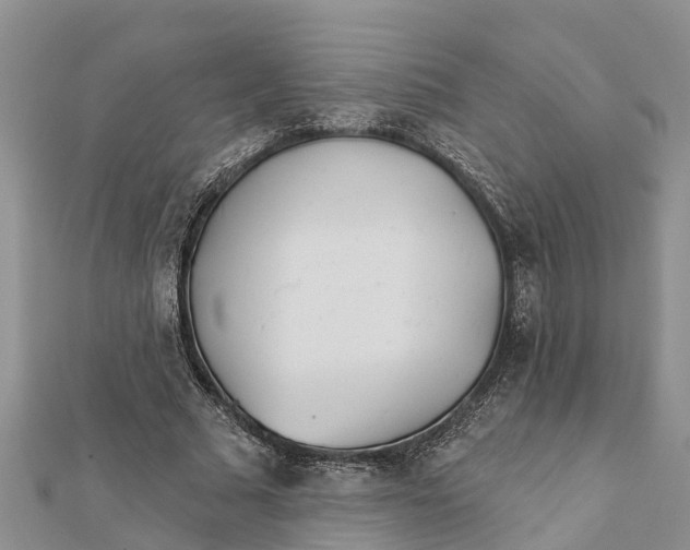 X0000112180681200908281402