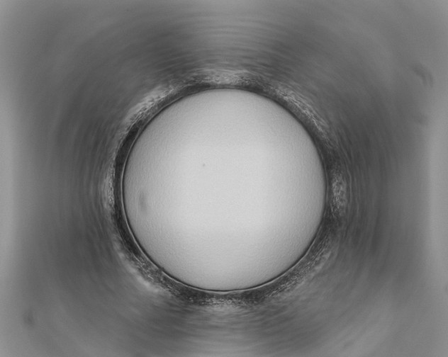 X0000112180682200908281402