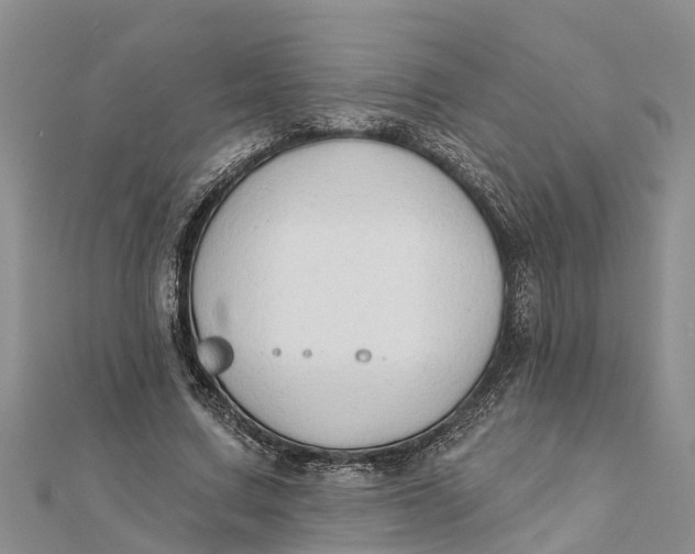 X0000112180683200908281402