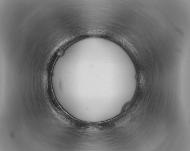 X0000112180684200908281402