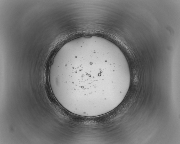 X0000112180685200908281402