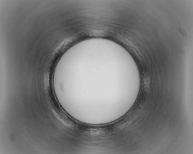 X0000112180686200908281402