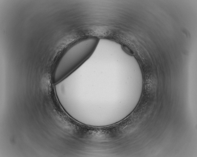 X0000112180688200908281402