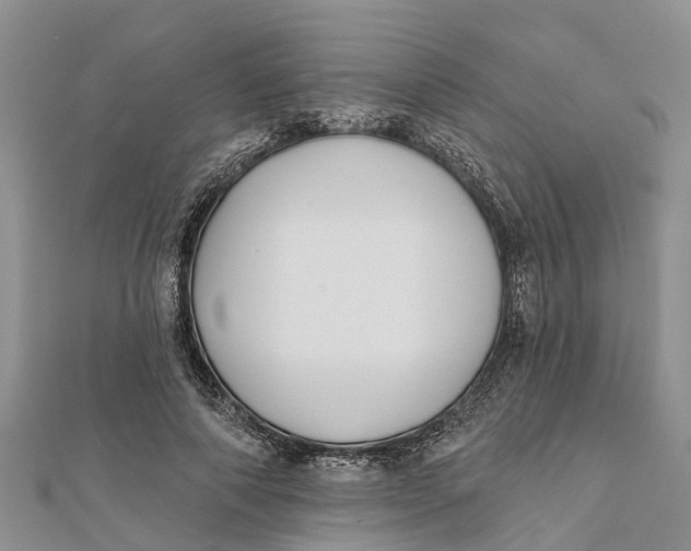 X0000112180690200908281402