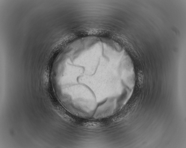 X0000112180691200908281402