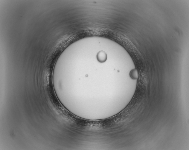 X0000112180694200908281402