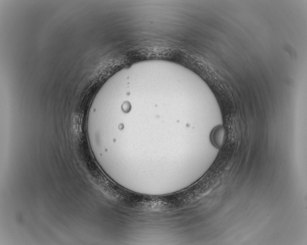 X0000112180695200908281402