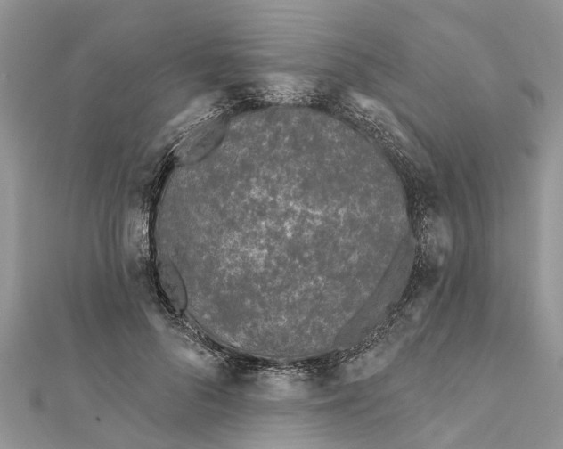 X0000112180696200908281402