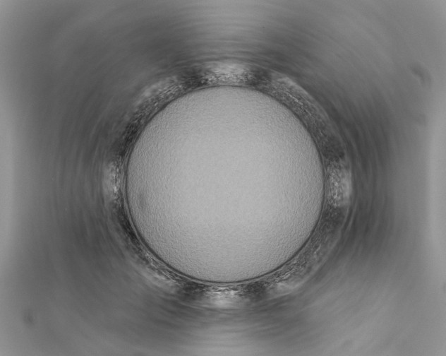 X0000112180701200908281402