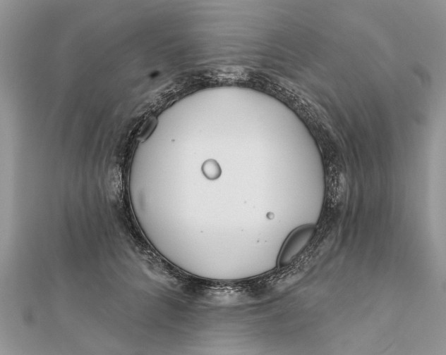 X0000112180704200908281402