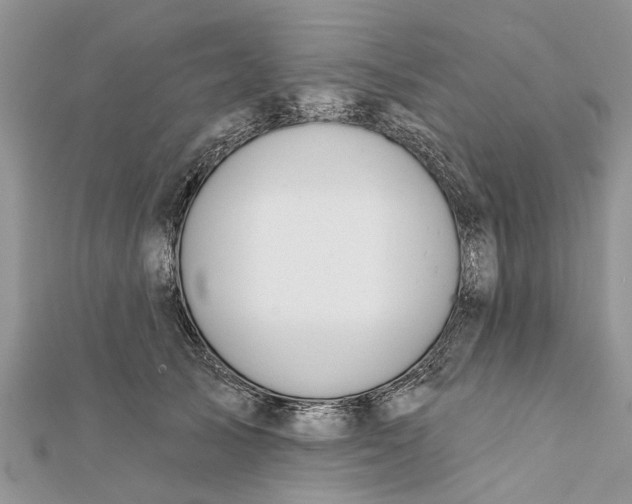 X0000112180705200908281402