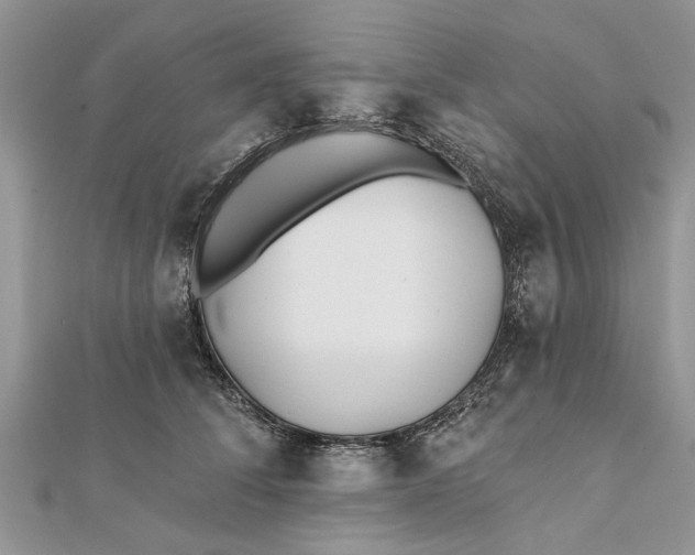 X0000112180708200908281402