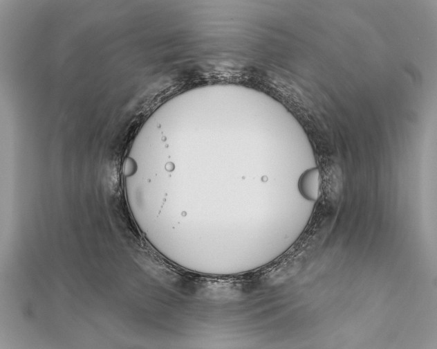 X0000112180709200908281402