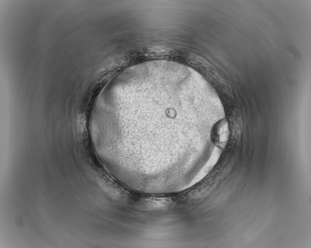 X0000112180711200908281402