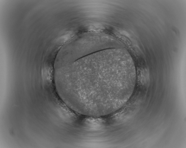 X0000112180712200908281402