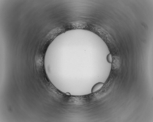 X0000112180713200908281402