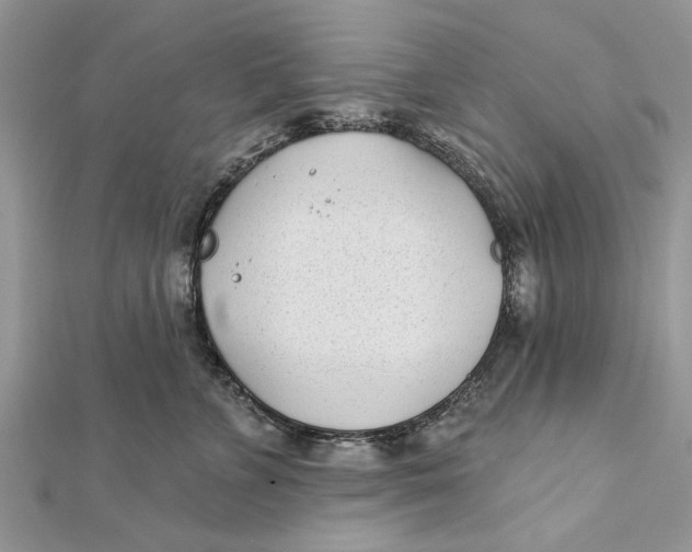 X0000112180715200908281402