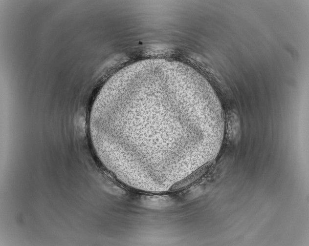 X0000112180716200908281401