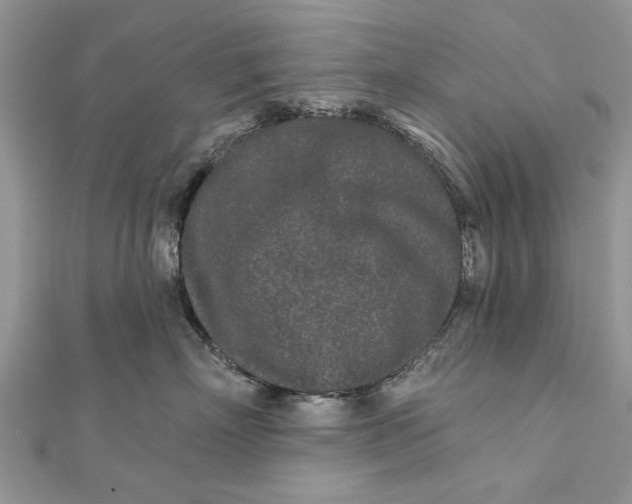 X0000112180718200908281401