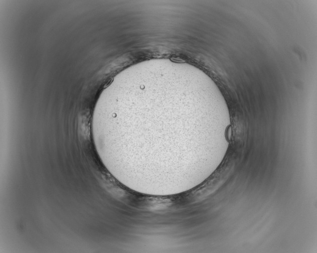 X0000112180719200908281401