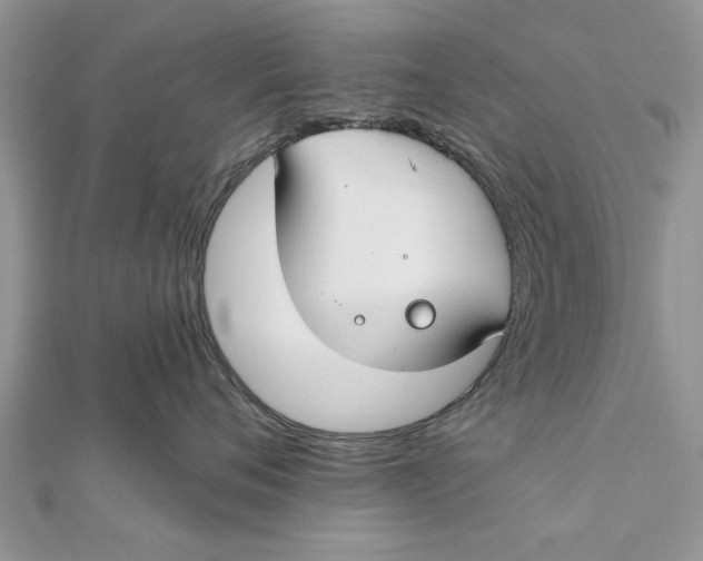 X0000112180720200908281401