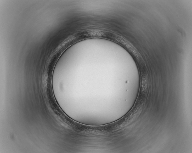 X0000112180722200908281401