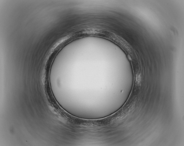 X0000112180724200908281401