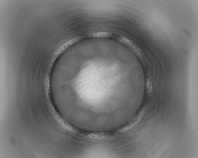 X0000112180725200908281401