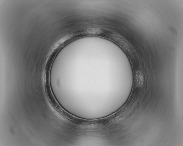 X0000112180726200908281401