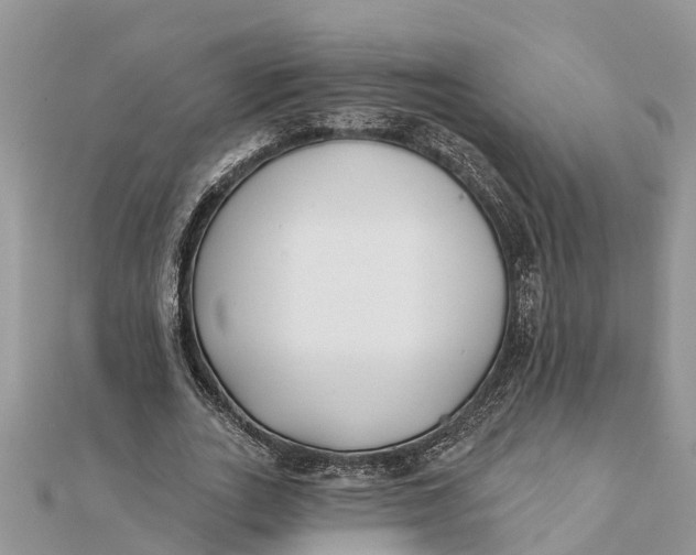 X0000112180727200908281401