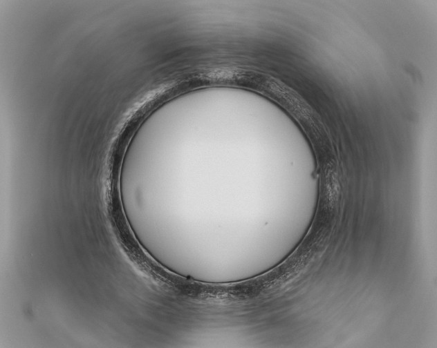 X0000112180728200908281401