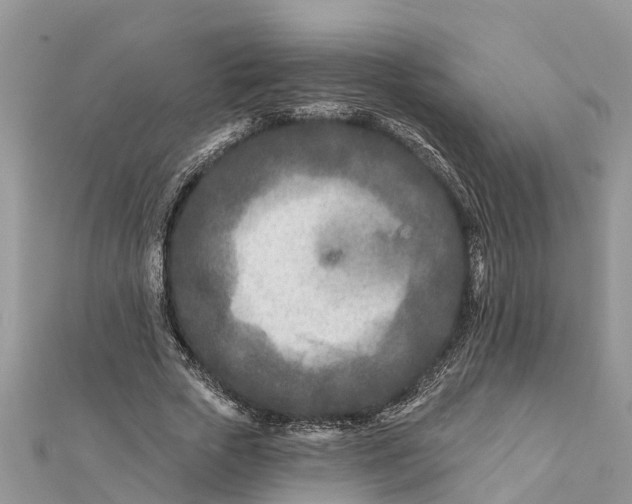 X0000112180729200908281401