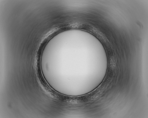 X0000112180730200908281401