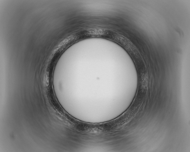 X0000112180731200908281401