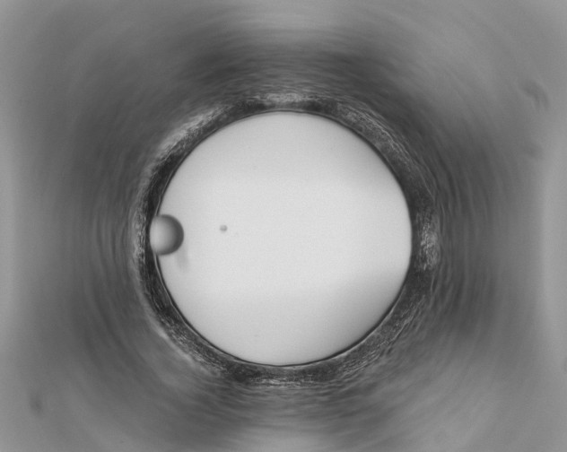 X0000112180732200908281401