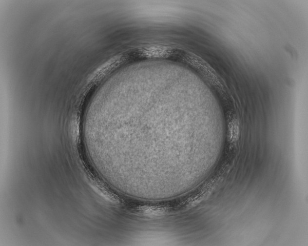 X0000112180733200908281401