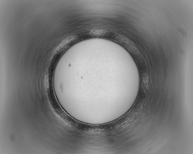 X0000112180734200908281401