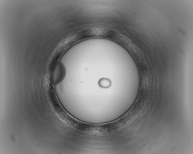 X0000112180736200908281401