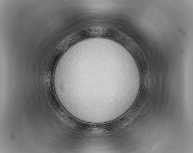 X0000112180737200908281401