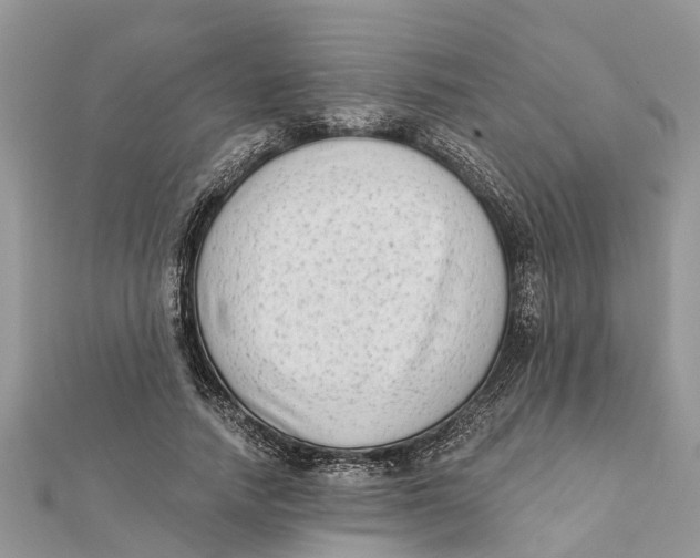 X0000112180738200908281401