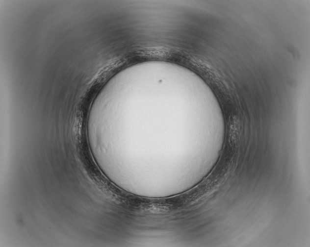 X0000112180739200908281401