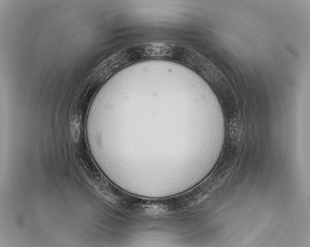 X0000112180741200908281401