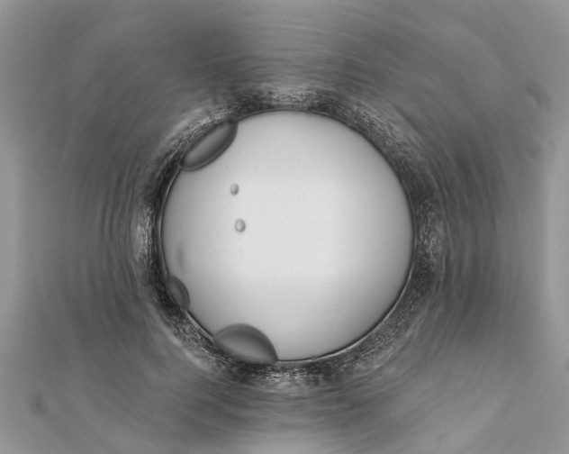 X0000112180744200908281401